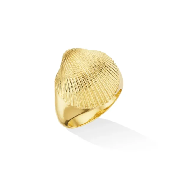 Cadar Shell Pinky Ring